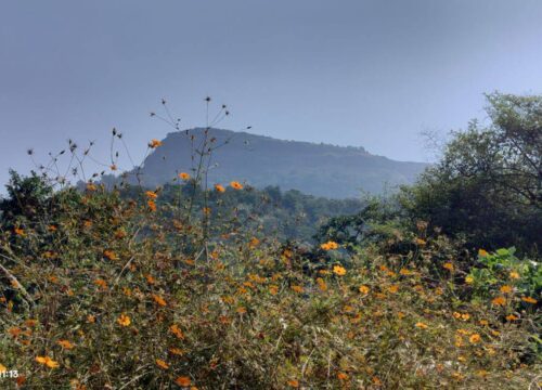 भिवगड किल्ला – गणीची वाट- गाळदेवी घाट