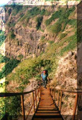 Ladder - Prachitgad