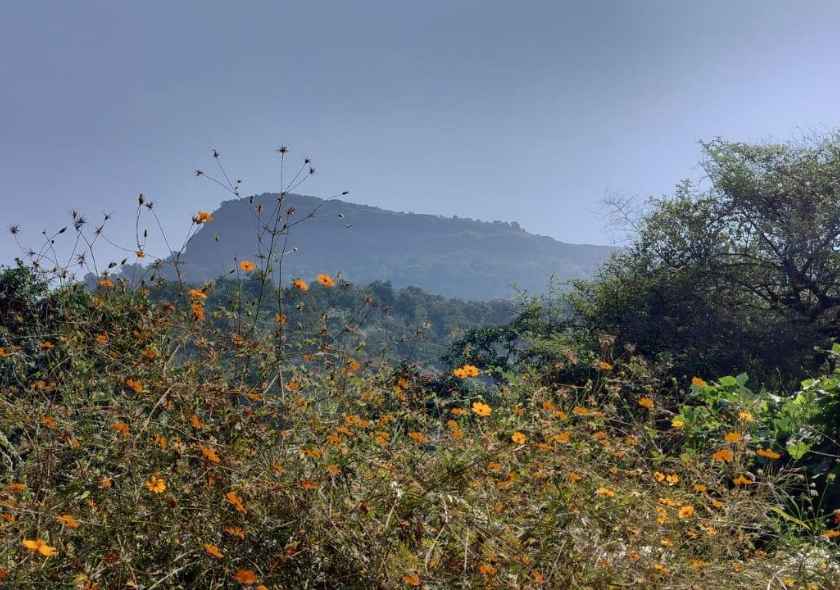 गणीची वाट – ढाक – गाळदेवी घाट – भिवगड