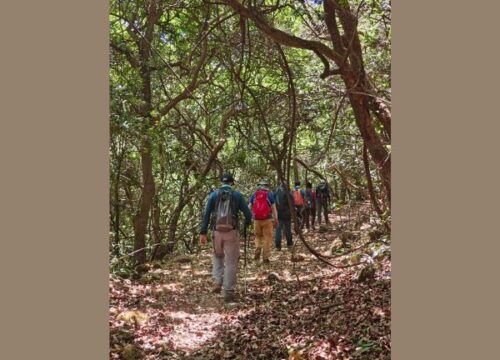 Trails around Mahabaleshwar Plateau