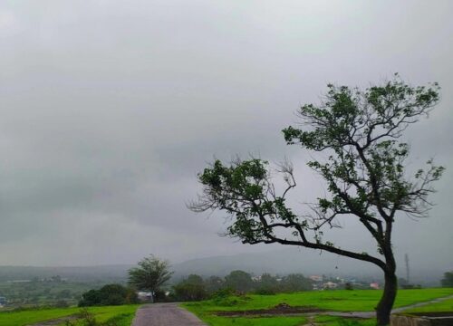 Ghoti-Kavnai Trek