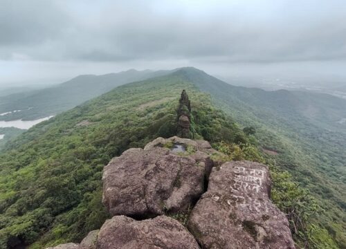 Tandulwadi-Taru Khind